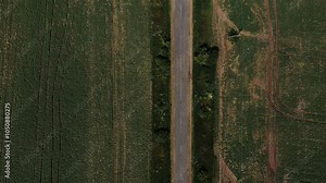 abstract green field background from above. 4k aerial top view Ukraine. Abstract geometric shapes agricultural parcels in green color field. Round geometry shape symbols as alien signs mystery concept