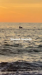 45 reactions |  | Manasota Key Resort | Facebook