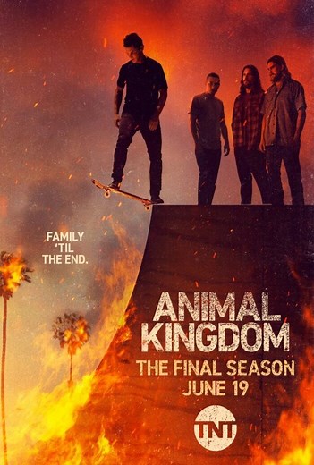 Animal Kingdom