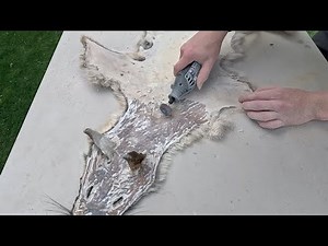 Hide Tanning: The Dry Flesh Method