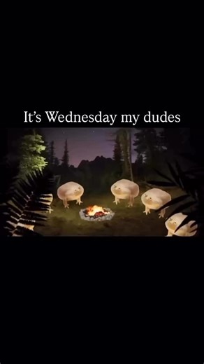 Itswednesday!!! on Instagram: "Day 123 of itswednesdaymydudes Comet is Perplexity’s new AI-powered web browser built on Chromium. It combines normal browsing with an AI assistant that can summarize pages, manage tabs, and even act on your behalf by clicking links or scheduling things. It’s invite-only for now, bundled with their pricey Max plan, and aimed at power users. The big promise is convenience, but critics warn about security risks like prompt injection and phishing since the AI can be t