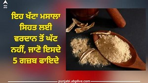 Amchoor Powder Benefits: ਇਹ ਖੱਟਾ ਮਸਾਲਾ ਸਿਹਤ ਲਈ ਵਰਦਾਨ ਤੋਂ ਘੱਟ ਨਹੀਂ, ਜਾਣੋ ਇਸਦੇ 5 ਗਜ਼ਬ ਫਾਇਦੇ