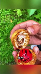 Let me introduce you to several different types of grass plants#Plant#The grass#Popular sc