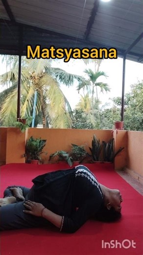 #group of padmasana#matsyasana