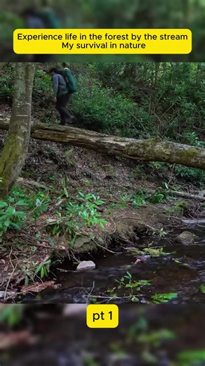 Essential Outdoor Survival Tips for Camping and Bushcraft