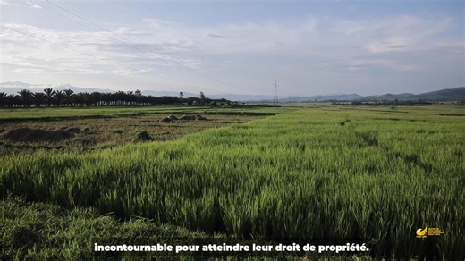 #WhyWomen-Au Burundi, les femmes représentent 80 % de la main d’œuvre agricole, mais très peu possèdent un certificat foncier. Les coûts élevés rencontrés lors du processus de certification foncière, privent les femmes au droit de propriété , et freinent ainsi leur autonomisation économique. Comment lever cette barrière à la prospérité des femmes ? Découvrons ensemble les solutions proposées par notre collègue dans cette analyse. #Réformes #DroitsFonciers #prosperité | CDE Gr