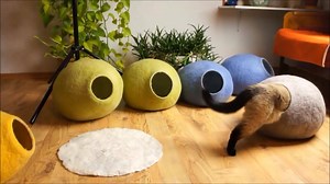 52K views · 870 reactions | "Welche Kuschelhöhle nehm ich denn?" ...
