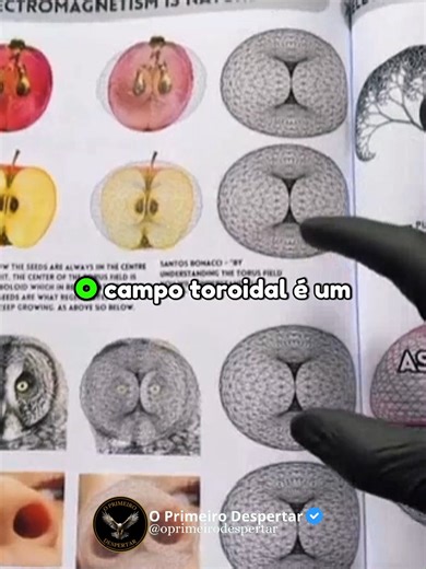 O campo toroidal é um padrão de energia multidimensional. #toroidal #multidimensional #despertar #verdadeoculta #bookofwisdom