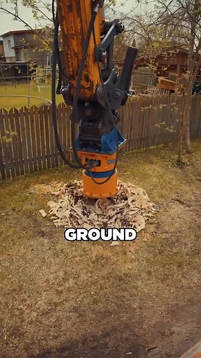 14K views · 50 reactions | The Most Extreme Way to Remove a Tree Stump | M Mingle | Facebook
