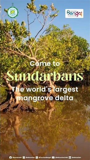 sunderban