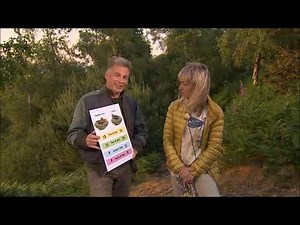 Springwatch 2023 - Cuckoo