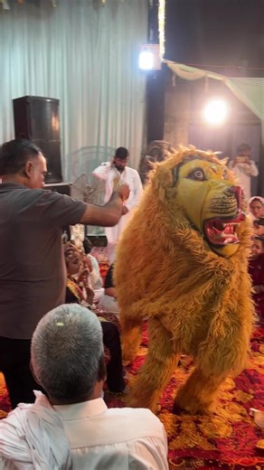 o Jungle Ke Raja Soya#shortsfeed #dance #song#short#music #new #bhajan #jaimatadi #mata #newsong