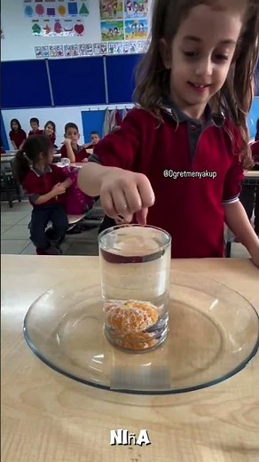 Intentaron todo… ¡pero solo una niña resolvió el desafío! 🤯🍊