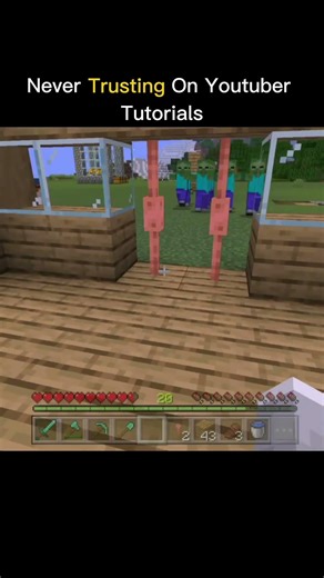 Never Trusting On YouTube Tutorials | #pallaviplayz #minecraft #catmemes