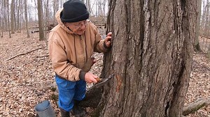 It's maple syrup season! Elkhart County INFB member Larry Yoder explains the process of making maple syrup in Indiana. | Indiana Farm Bureau