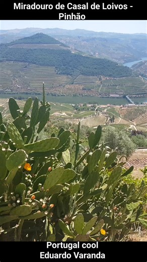 Miradouro de Casal de Loivos - Pinhão | Portugal cool