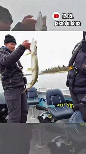 Hauki on kala #kalastus #suomi #meri