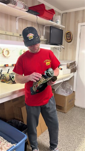 Bright Eyes Lights (@bright.eyes.lights)’s video of Led Lights