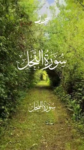 سبحان الله و بحمده عدد خلقه ورضا نفسه وزنة عرشه ومداد كلماته ☝🏾