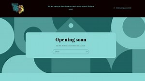 'It's mindboggling': Pretty Little Things Boutique under investigation for scam allegation