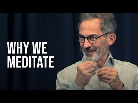 Why Do We Meditate?