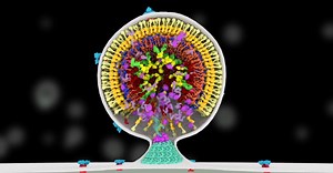 Watch: A cellular biologist animates the life cycle of HIV in this hypnotic video