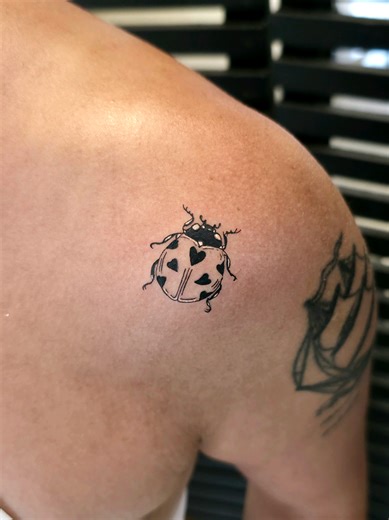 Fineline realistic lady bug tattoo🐞✨️ what do you think of this tattoo? #ladybug #ladybugtattoo #tattoos #southafricantattoo #viral