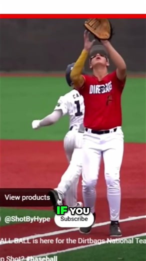 Baseball Interference...The Tiny Brush That Changes Everything