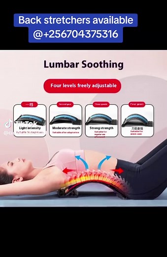 Back Stretchers: Your Tool for Spine Health