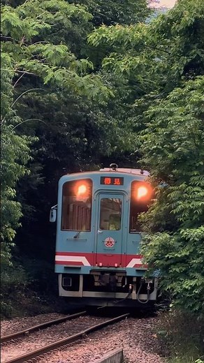 思わず息をのむ…新緑のトンネルから現れる樽見鉄道【岐阜絶景】