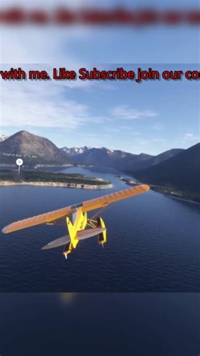 Bush Flying Landing Instructions #flightsimulator #flightsim #flighttraining #bushflying