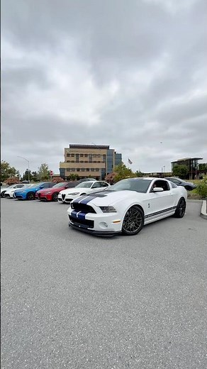White Mustang GT500 Shelby with blue racing stripes the perfect blend of heritage and muscle power!