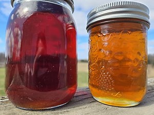 Cheap, Homemade Vacuum Filter for Syrup