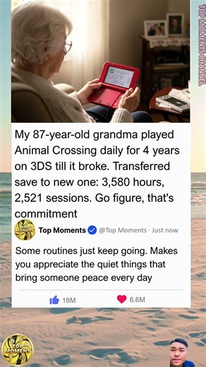 87-Year-Old Grandma's 3,581 Hours in Animal Crossing New Leaf – Pure Dedication
