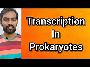 Transcription in prokaryotes | Tamil