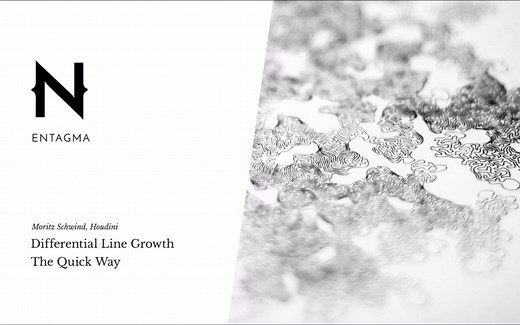 Entagma -Houdini细分线增长动画教程(Differential Line Growth)