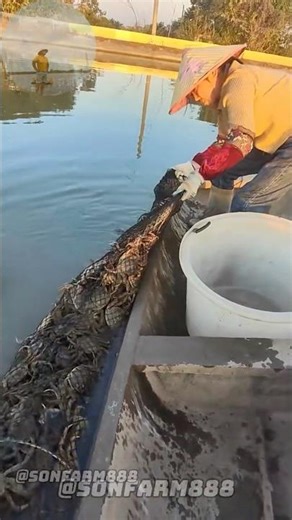 TÌNH HUỐNG KHÔNG NGỜ TỚI #shorts