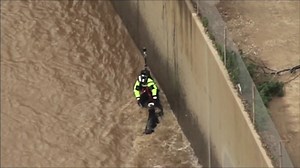 225K views · 724 reactions | Come on, pup! Crews are doing their best...