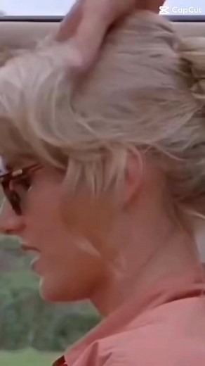 9.2K views · 239 reactions | Ocala Horse Sale on Reels | Facebook