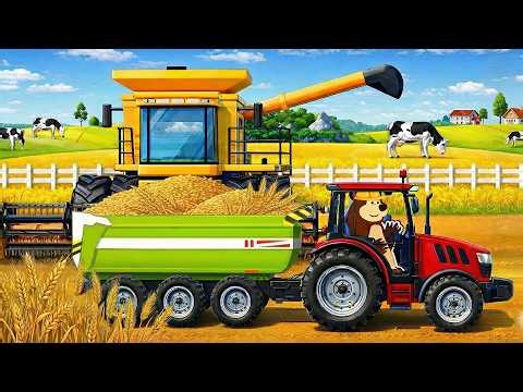 Tractor & Combine Harvester Work Hard 🌾 | Harvesting the Wheat Field | Real Farm Animation