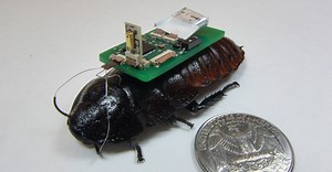 This Cyborg Cockroach Could Save Your Life Someday