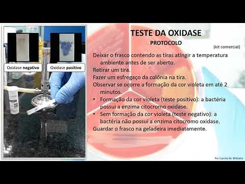 Teste da oxidase