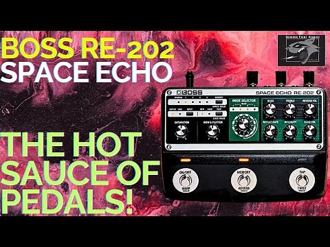 Boss Space Echo RE-202 Pedal: A Galaxy of Tone Options