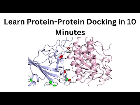 How to perform protein-protein docking on your local protein models