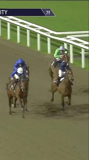 Taking debut from Quartermaster at Chelmsford