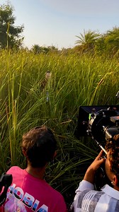 22K views · 268 reactions | Edward Maya - HERO (Hyperborea) @hyperboreaofficial | Edward Maya | Facebook