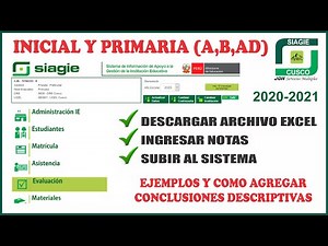 Siagie pasos para INGRESAR NOTAS FINALES inicial y primaria 2020 con ejemplos de conclusiones descr.