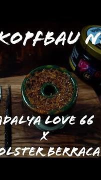 DAILY KOPFBAU NR. 515 | Adalya Love 66 X Holster Berraca