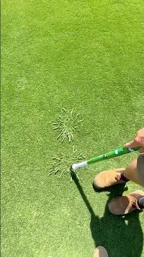 This Is How Pros Fix Fairway Weeds 😮⛳