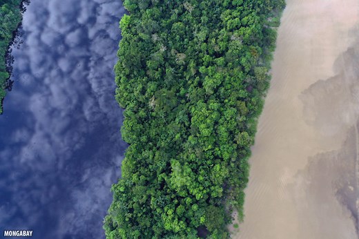 Bird's eye view: Drone photos of the Amazon rainforest (insider)